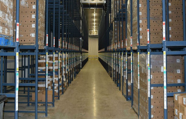 Frozen Storage, Cold Storage, Freezer Storage